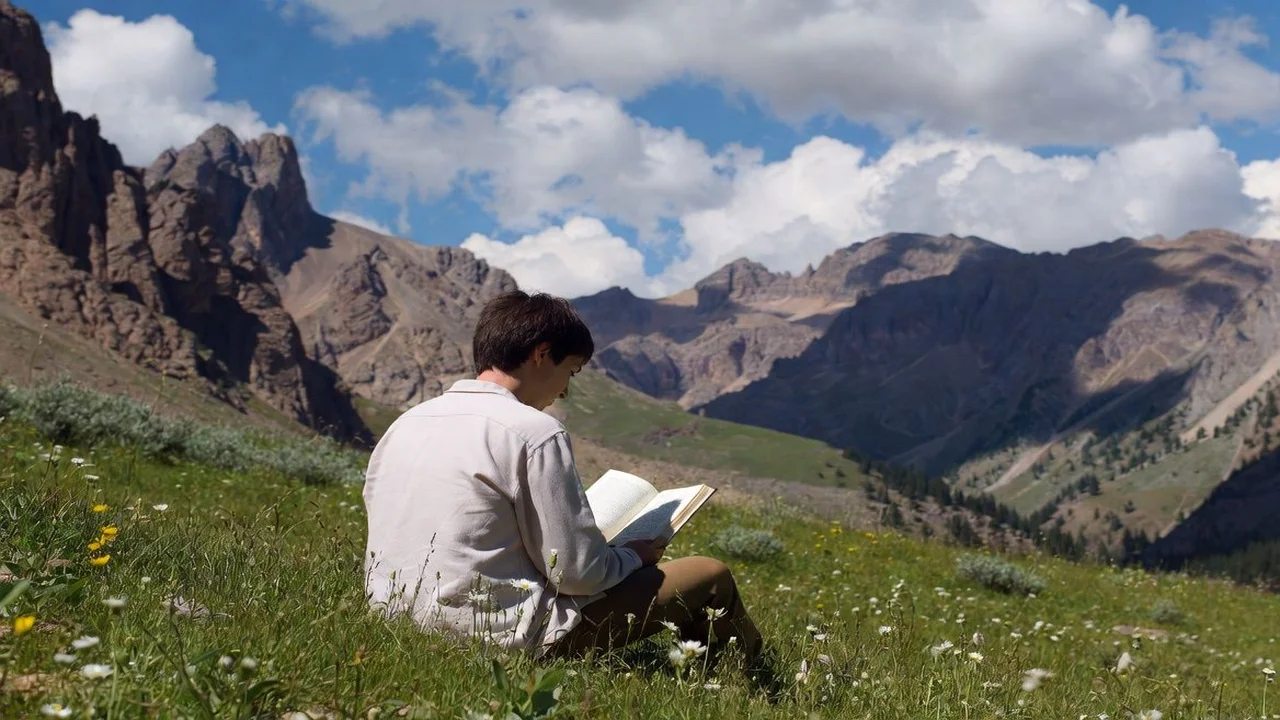 Contador De Palavras: Conte E Otimize Seus Textos