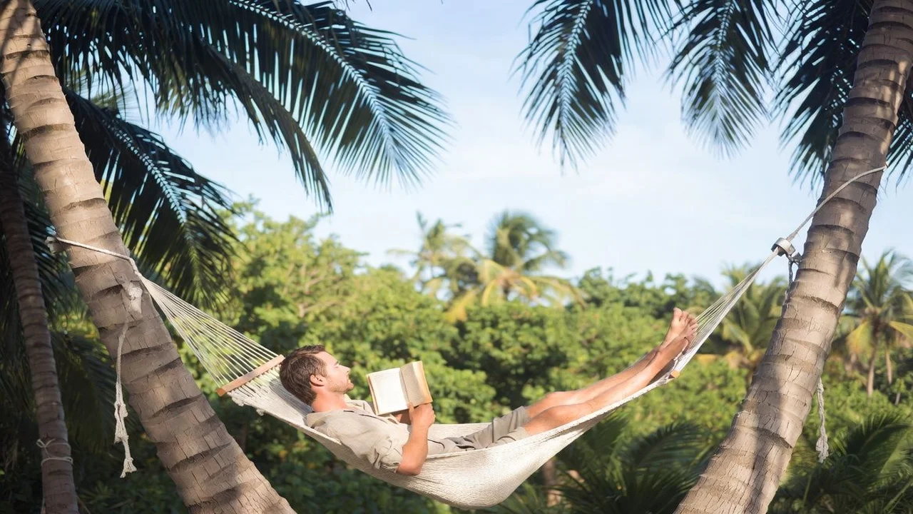 Conversor de PDF para OFX: Rápido e Preciso