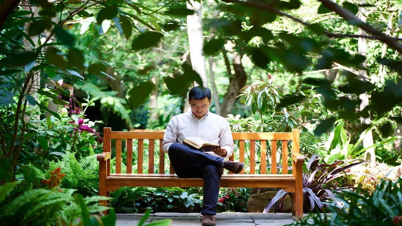 Dafont: Como Baixar e Usar Fontes Gratuitas com Segurança