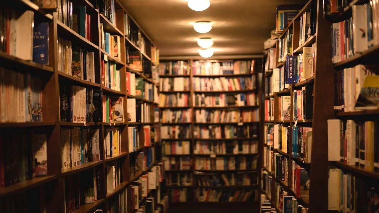 Extrato IPVA MT: Como Consultar e Emitir Online