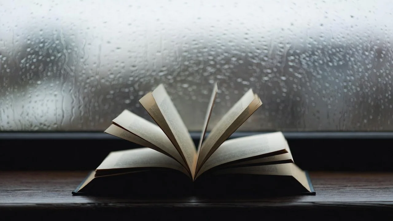 FGTS Gov: Como Consultar Saldo e Extrato Online