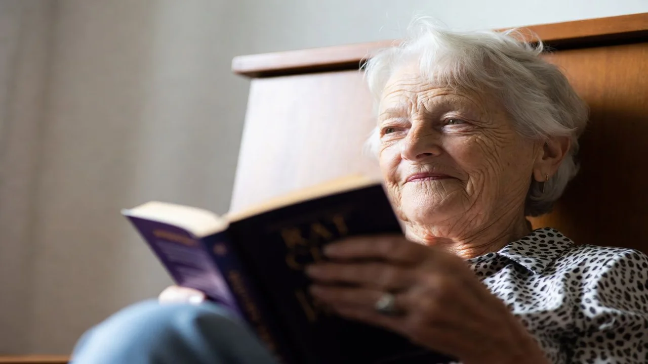 Nop: O Que É, Como Funciona E Para Que Serve