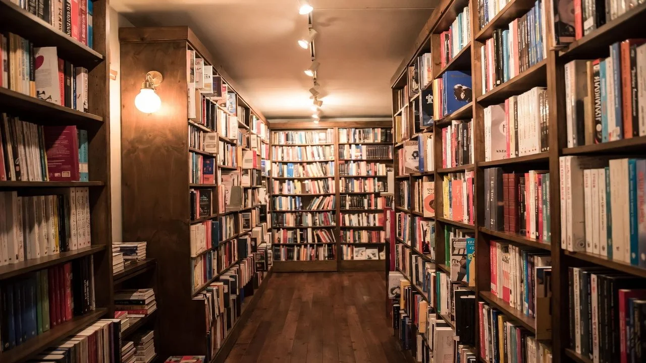 Quantas Pessoas Existem No Mundo? Total Atualizado E Estimado