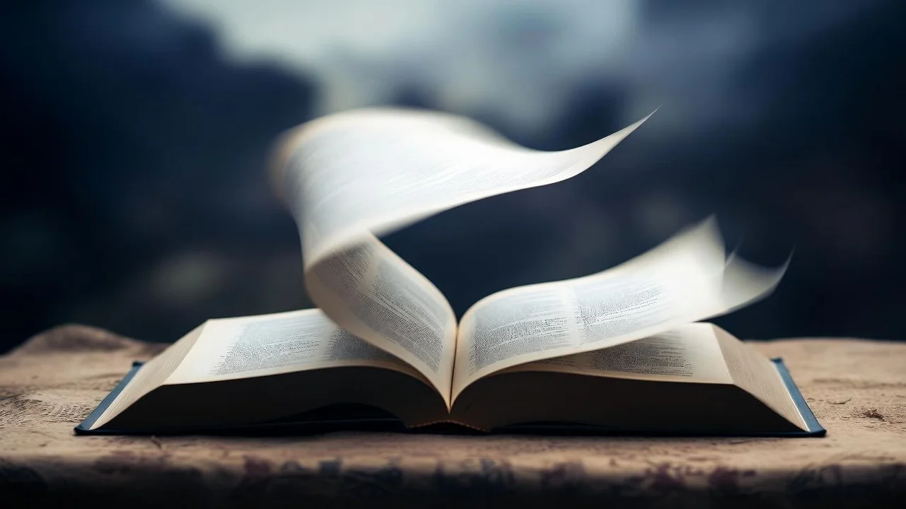 Quantas Pessoas Existem No Mundo? Total Atualizado E Estimado