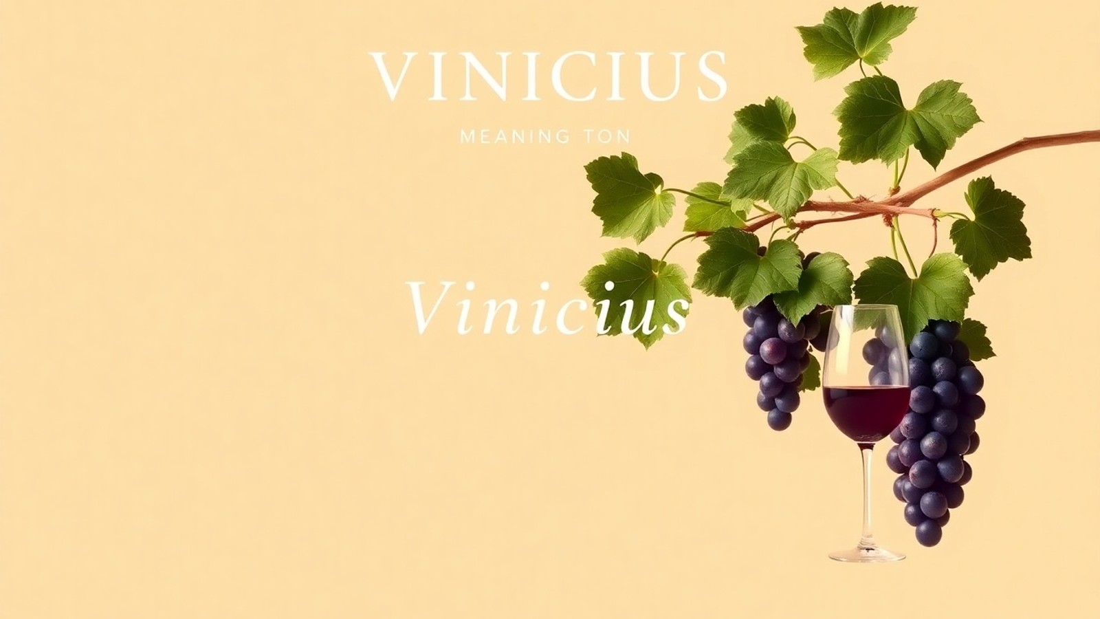 significado de vinicius imagem 1