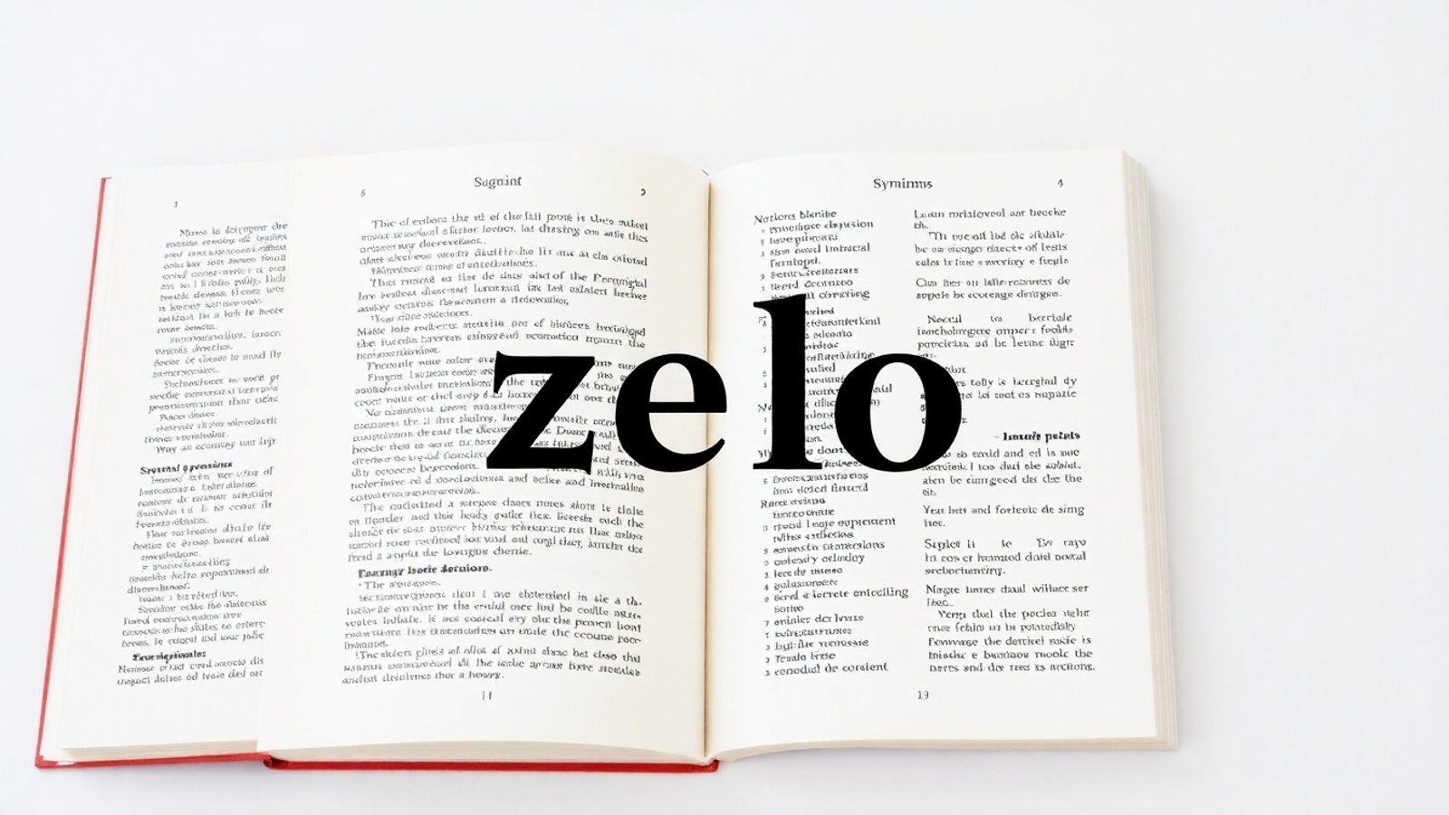 sinonimo de zelo capa editorial