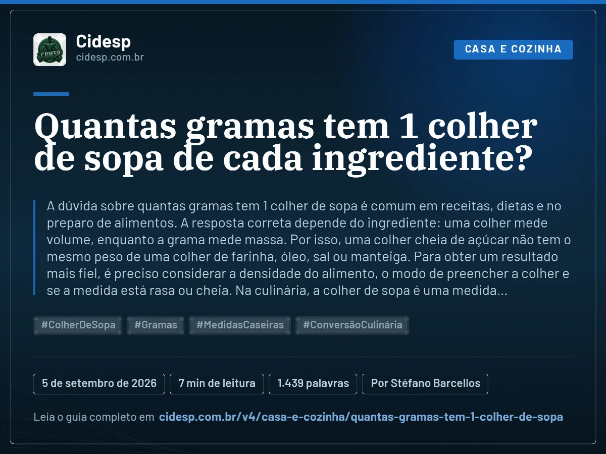Cartão do artigo “Quantas gramas tem 1 colher de sopa de cada ingrediente?”, com resumo, data de publicação e endereço da página.