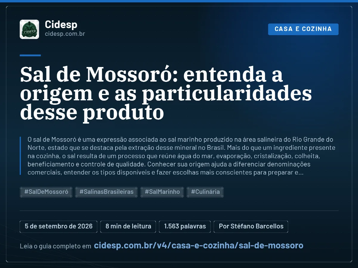 Cartão do artigo “Sal de Mossoró: entenda a origem e as particularidades desse produto”, com resumo, data de publicação e endereço da página.