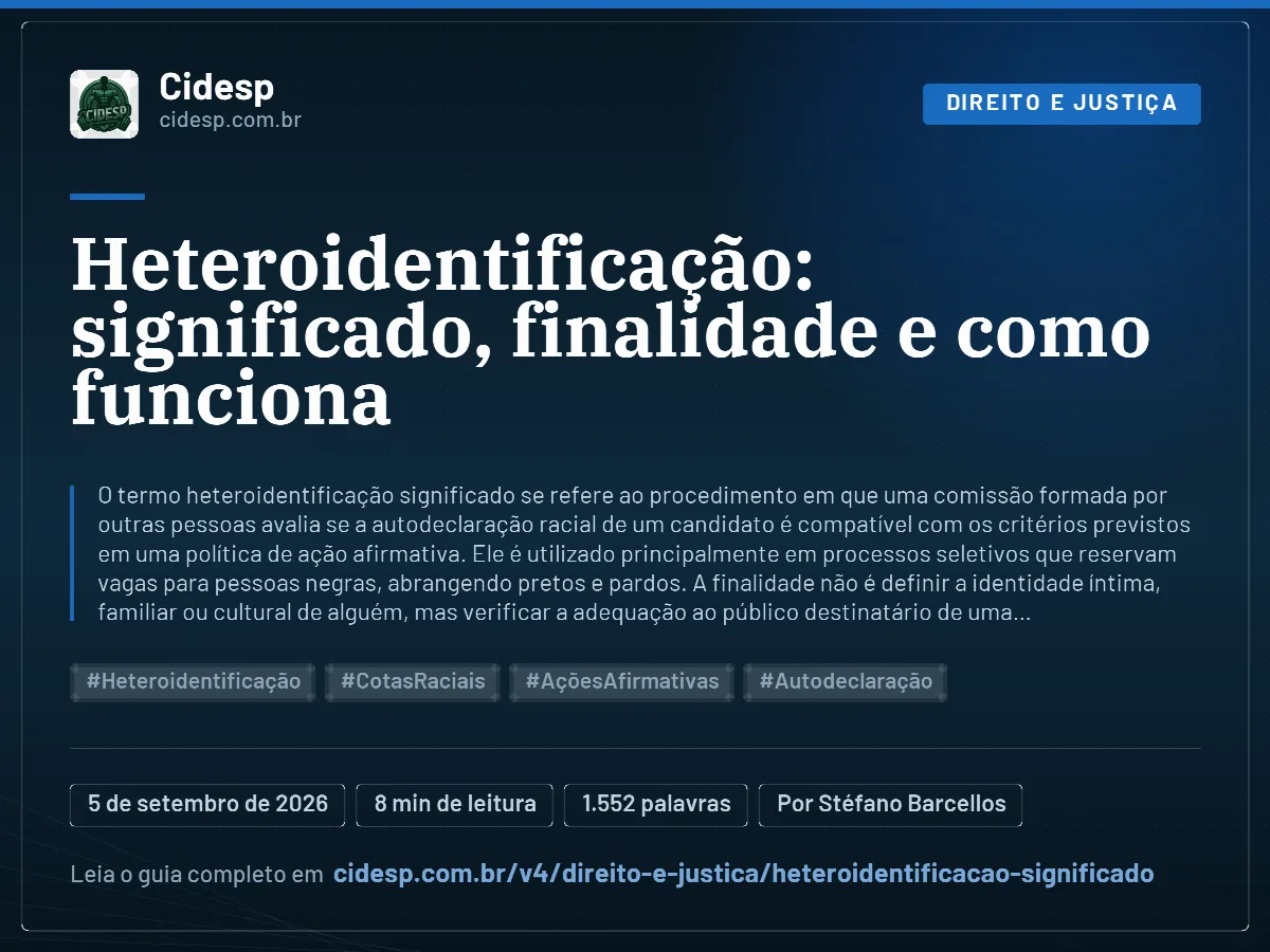 Cartão do artigo “Heteroidentificação: significado, finalidade e como funciona”, com resumo, data de publicação e endereço da página.