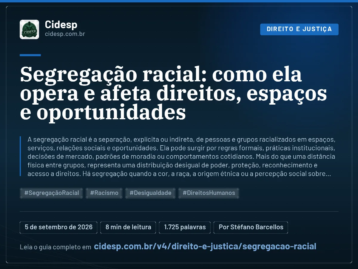 Cartão do artigo “Segregação racial: como ela opera e afeta direitos, espaços e oportunidades”, com resumo, data de publicação e endereço da página.