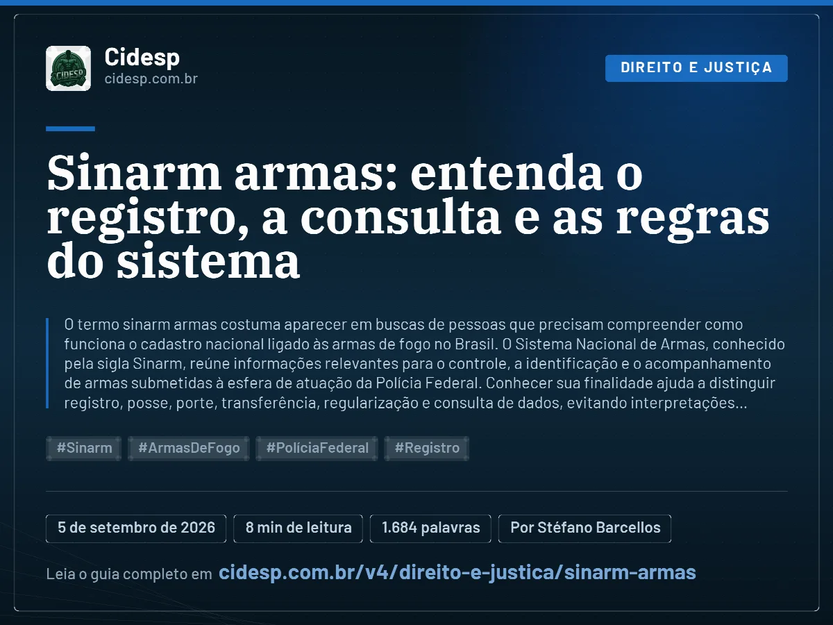 Cartão do artigo “Sinarm armas: entenda o registro, a consulta e as regras do sistema”, com resumo, data de publicação e endereço da página.