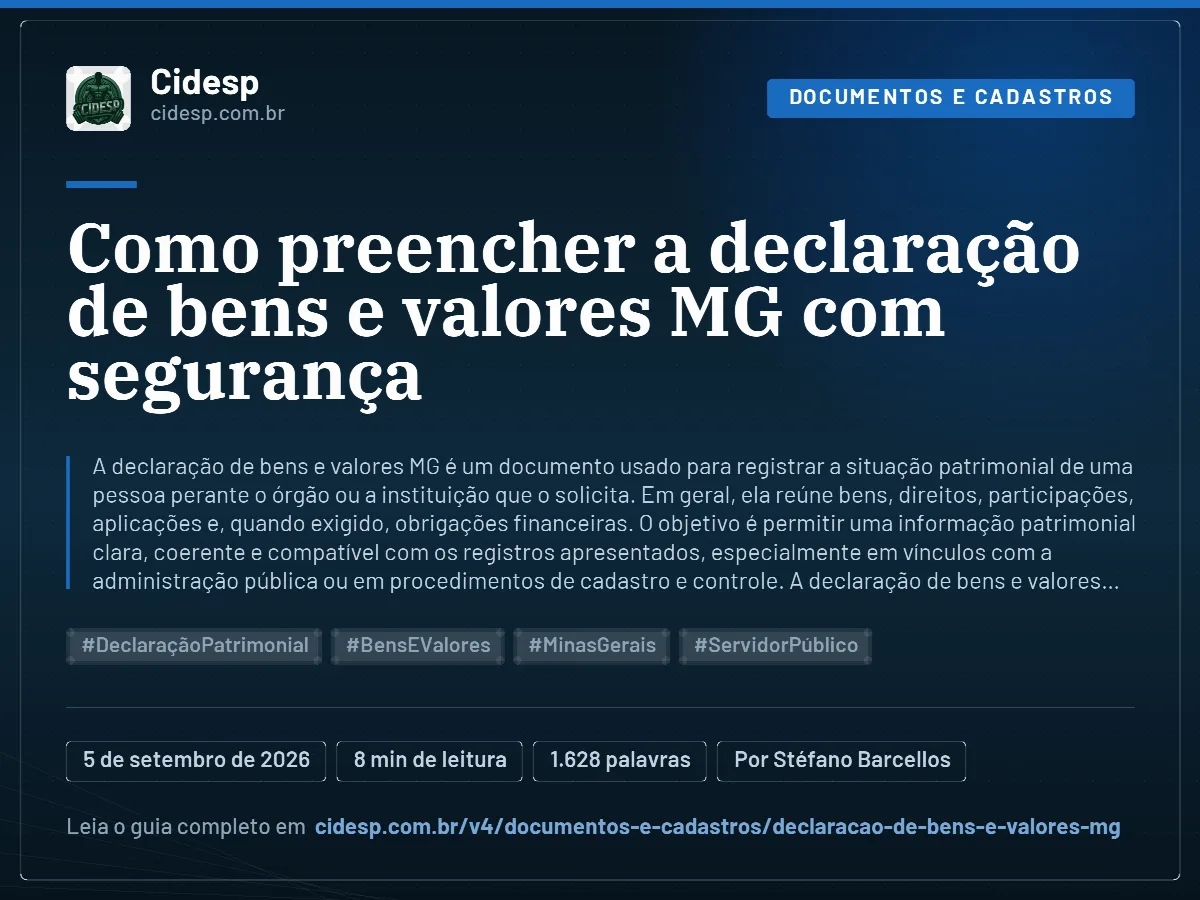 Cartão do artigo “Como preencher a declaração de bens e valores MG com segurança”, com resumo, data de publicação e endereço da página.