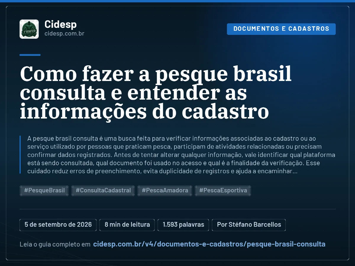 Cartão do artigo “Como fazer a pesque brasil consulta e entender as informações do cadastro”, com resumo, data de publicação e endereço da página.
