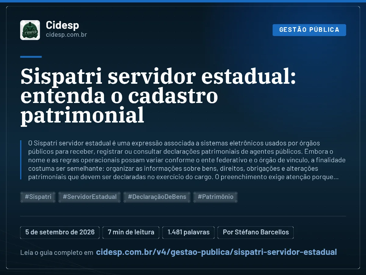 Cartão do artigo “Sispatri servidor estadual: entenda o cadastro patrimonial”, com resumo, data de publicação e endereço da página.