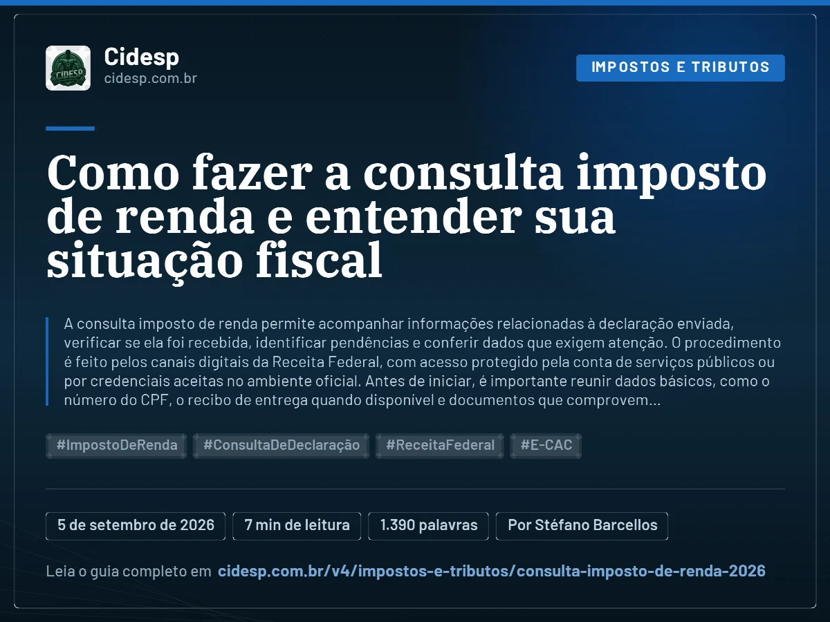 Cartão do artigo “Como fazer a consulta imposto de renda e entender sua situação fiscal”, com resumo, data de publicação e endereço da página.