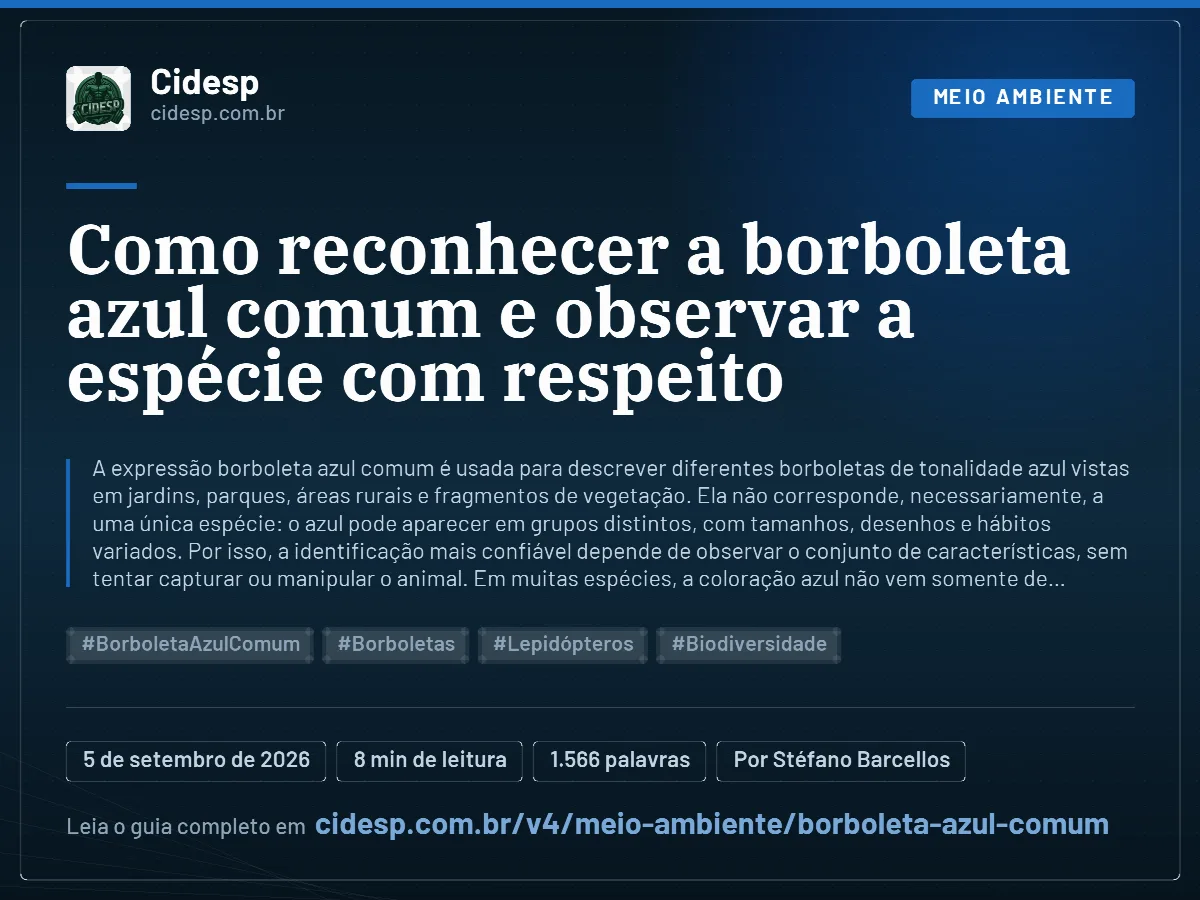 Cartão do artigo “Como reconhecer a borboleta azul comum e observar a espécie com respeito”, com resumo, data de publicação e endereço da página.