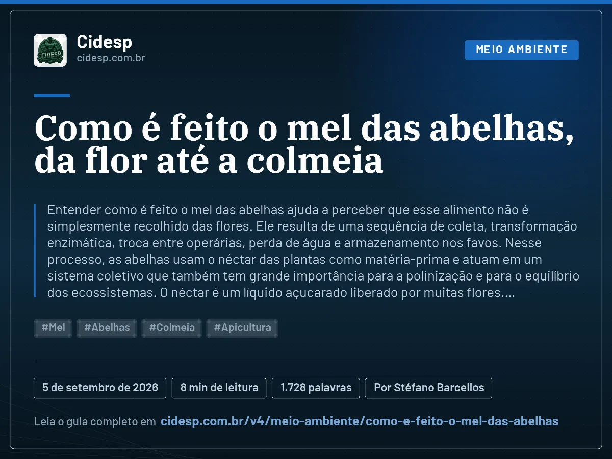 Cartão do artigo “Como é feito o mel das abelhas, da flor até a colmeia”, com resumo, data de publicação e endereço da página.