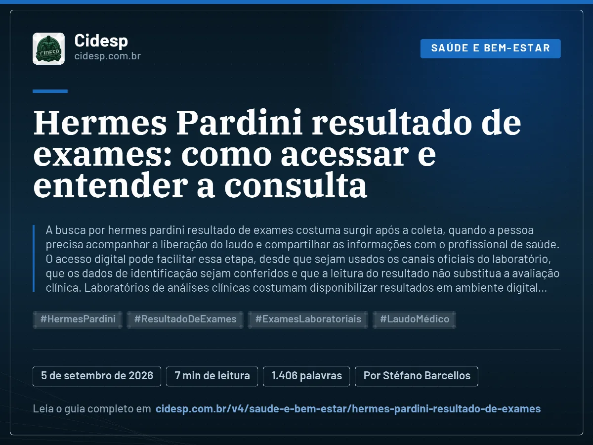 Cartão do artigo “Hermes Pardini resultado de exames: como acessar e entender a consulta”, com resumo, data de publicação e endereço da página.