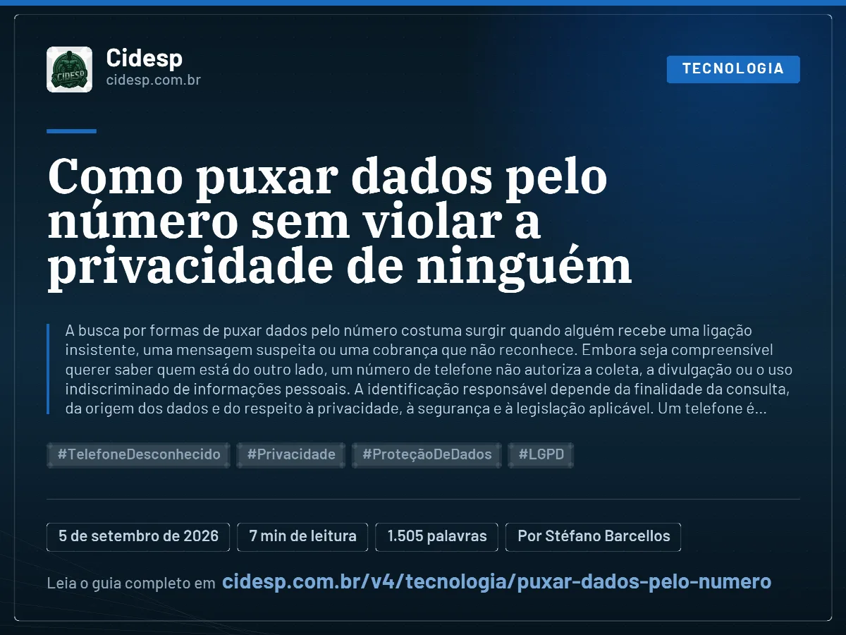 Cartão do artigo “Como puxar dados pelo número sem violar a privacidade de ninguém”, com resumo, data de publicação e endereço da página.